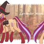 MLP Adoptable Auction - Lavender Moon CLOSED