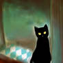 little mr black cat