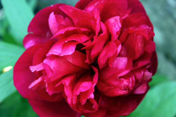 the beauty exploded by sumahli on DeviantArt