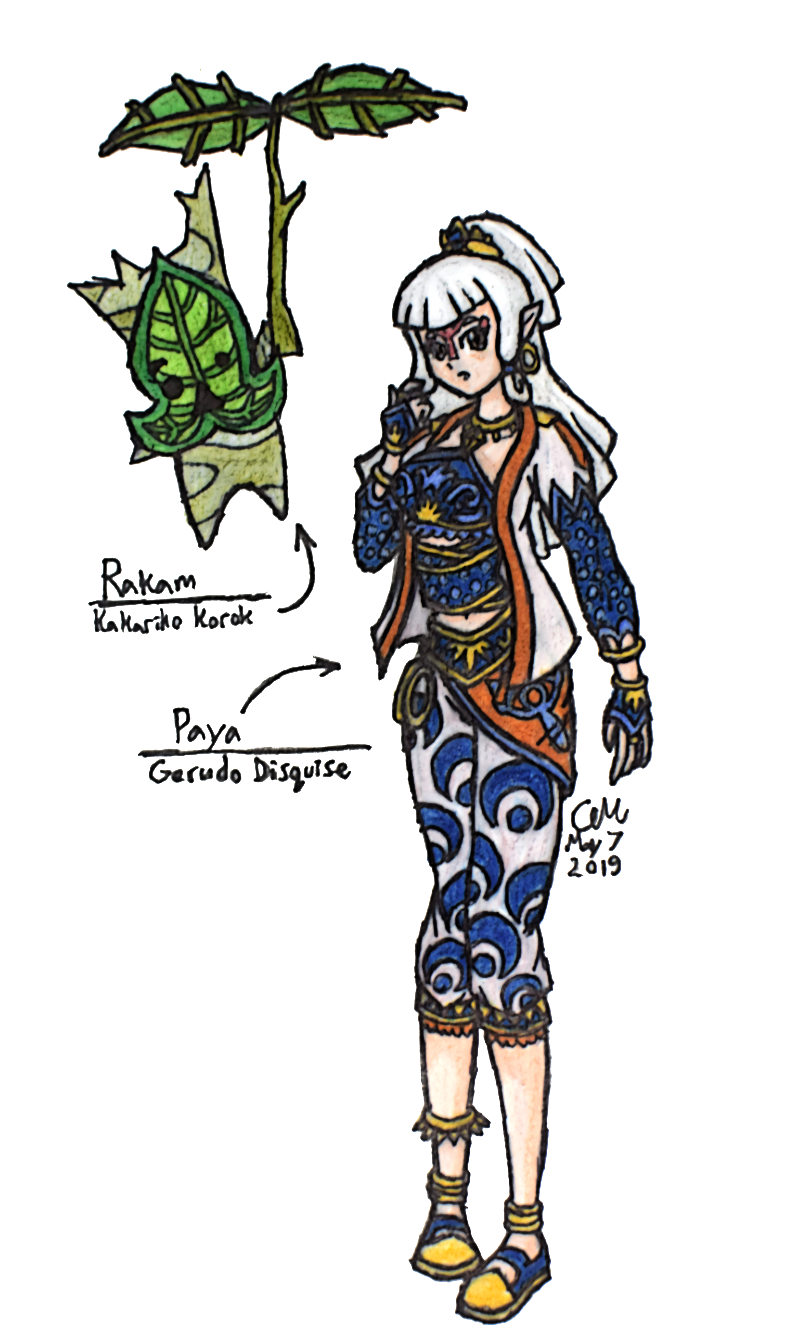 Zelda and Paya disguised! - Request for Aktora by YusaPikachu on DeviantArt