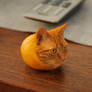 Orange cat