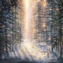 Snow-Covered Forest from Magic: The Gathering