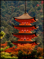 the Miyajima Pagoda