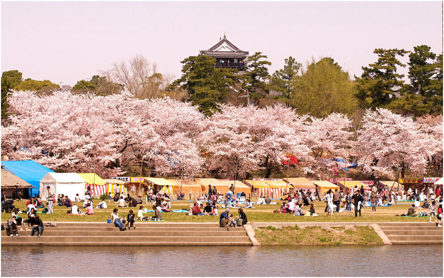 Cool Hanami hanami by jyoujo on DeviantArt
