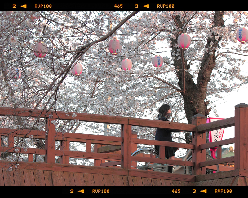 kyoto streets scenes