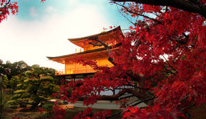 kinkaku-ji temple