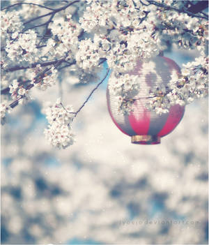 a little bit of light by jyoujo a little bit of light by jyoujo