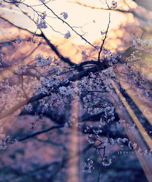 to change the time by jyoujo to change the time by jyoujo