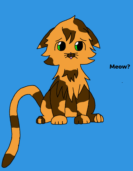 Meow?