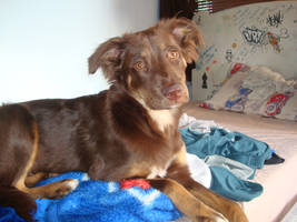 Zara in my brother's bed