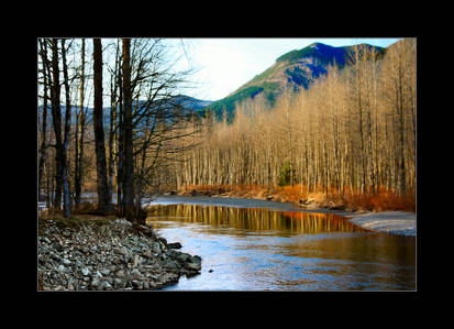 By the River