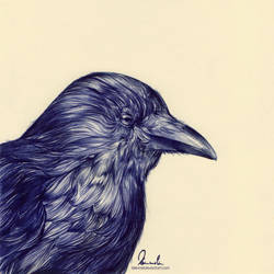 Ballpoint Pen Black Crow