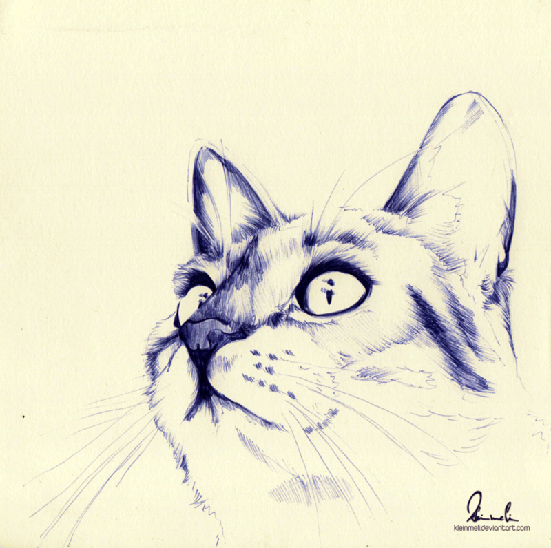 Ballpoint Pen Kitty - WIP