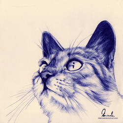 Ballpoint Pen Kitty