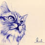 Ballpoint Pen Cat