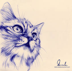 Ballpoint Pen Cat