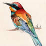 Colorful Bird