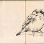 Sketchbook Bird