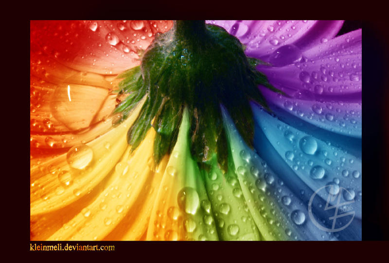 Colourful by kleinmeli Colourful by kleinmeli