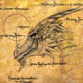 Draconis