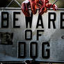 beware of dog