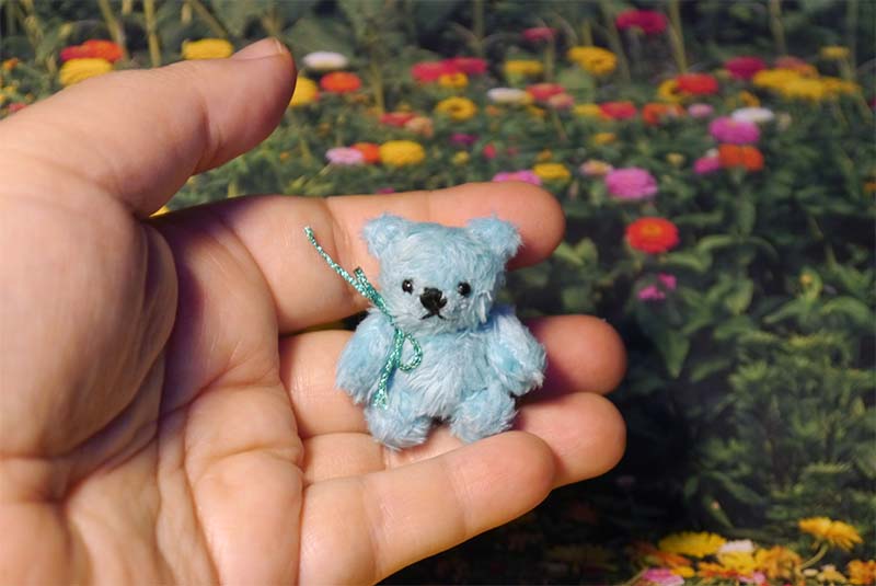 Little blue bear