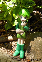 Clay Saria of Kokiri Forest