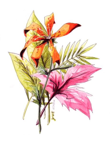 Tiger Lily