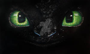 Drawing - Night fury - Toothless - Color Pencil