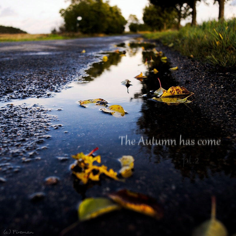 The Autumn has come pt.2