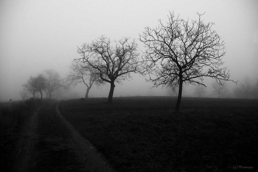 Walking in fog