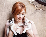 Turquoise and kittens by WildRainOfIceAndFire