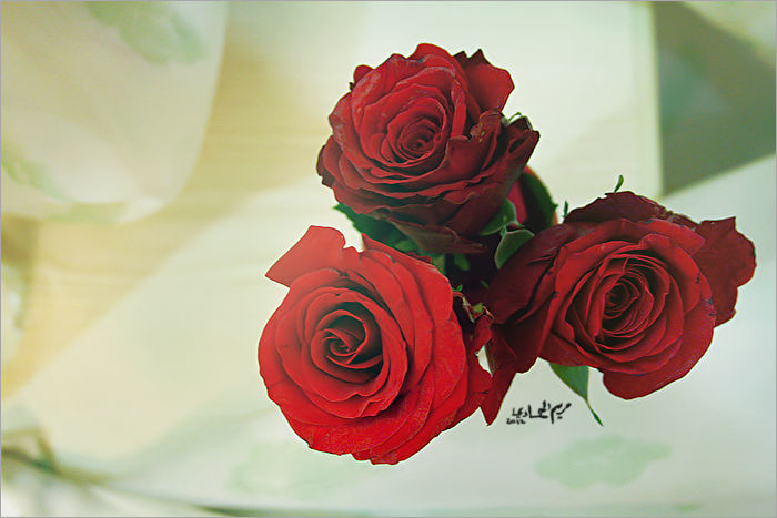 RED llll by MariOmz on DeviantArt