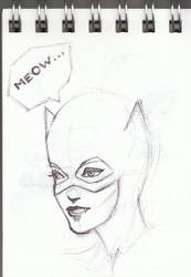 Catwoman quick sketch.