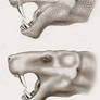 Versions of gorgonopsids