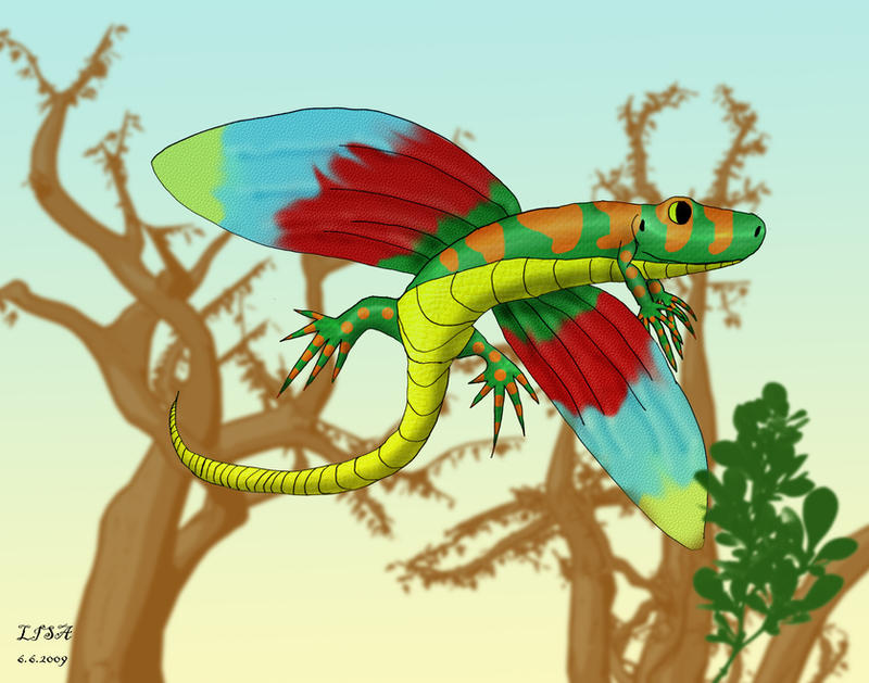 Flying Lizard Vector Flying lizard by mojcaj on DeviantArt