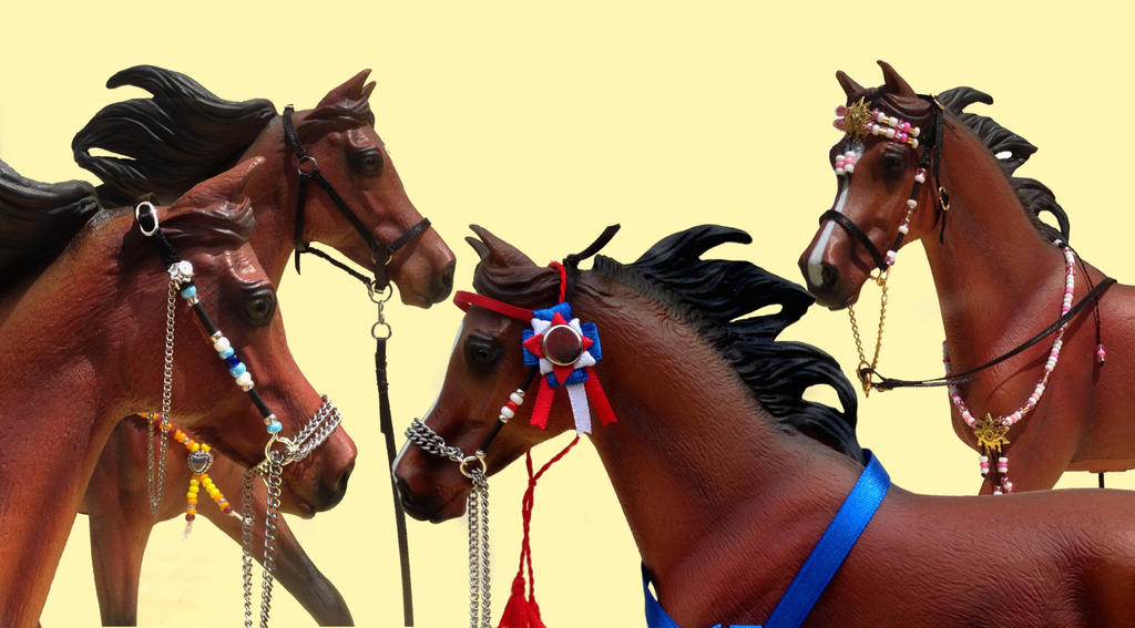 Collecta Halters