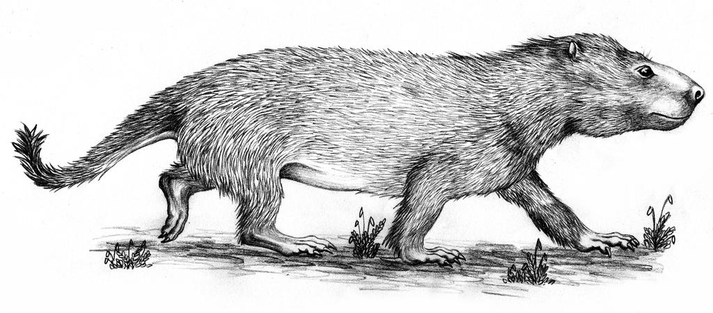 B/W kayentatherium