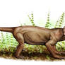 Burnetia and dicynodont