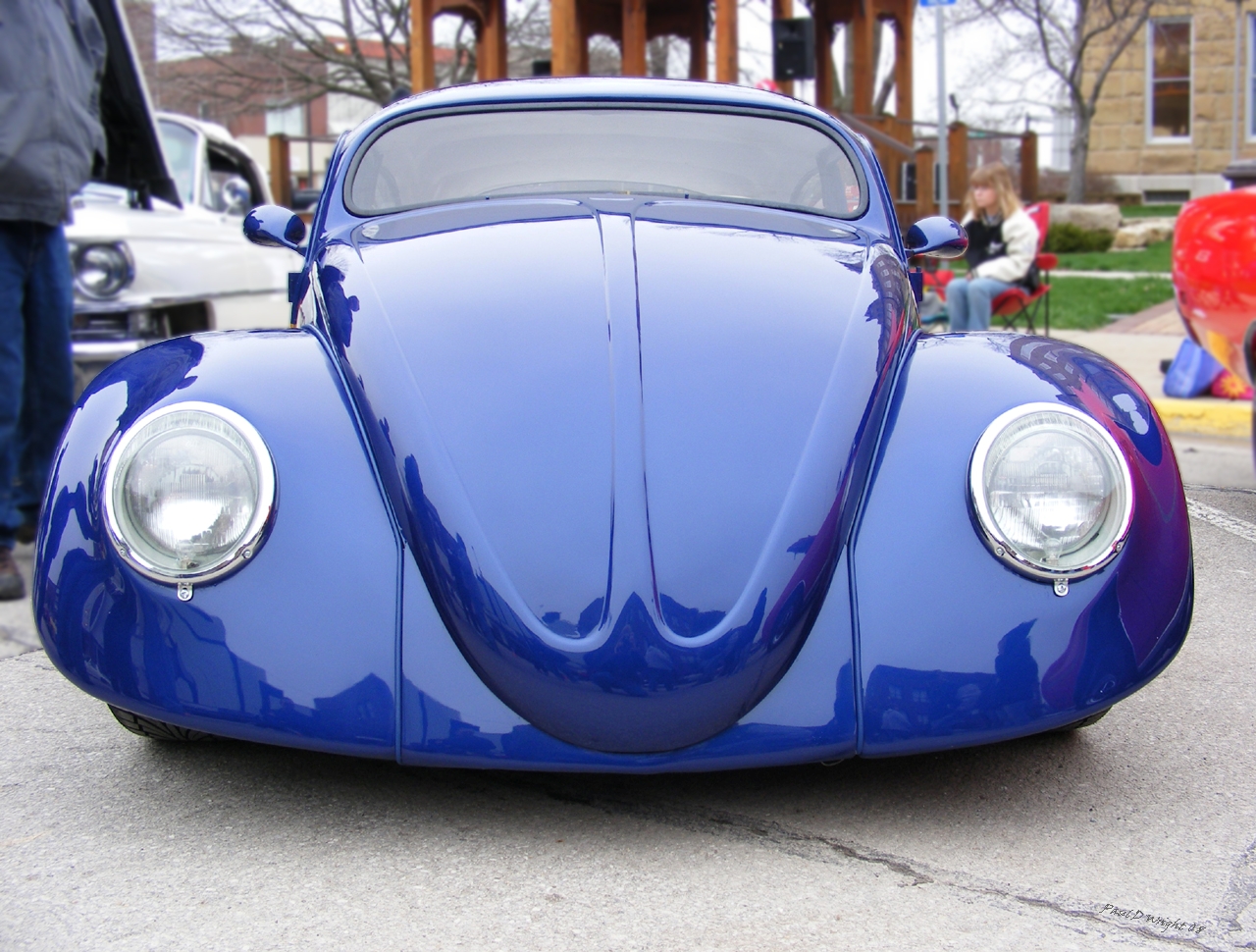 Custom Bug Face