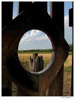 The Wooden Portal