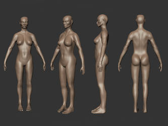 Human Sculpt