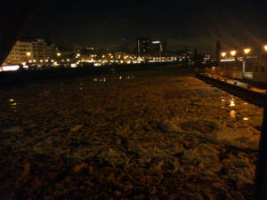 Ice at the Hamburg Fischmarkt, Elbe