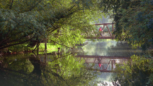 An Evening in Cambridge