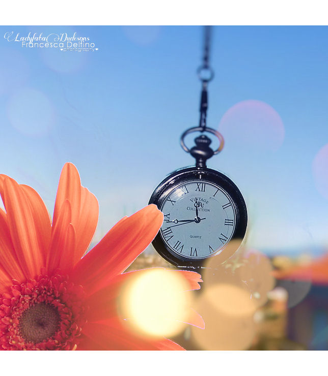 Flower and clock