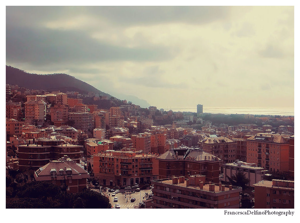 Genova view II