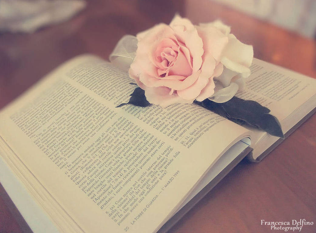 Book and rose by FrancescaDelfino