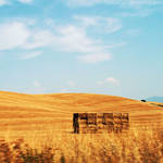 Tuscan countryside by FrancescaDelfino