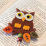 Autumn Owl1