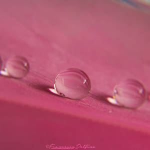 Drops 2 by FrancescaDelfino